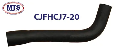 F.jpeg
