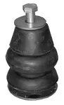 acadfbcf m  .jpg