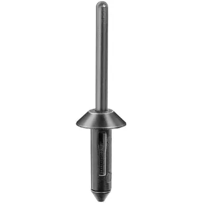 5mm Nylon Blind Rivet 12mm Head Grip 4.5mm-WF56030-P