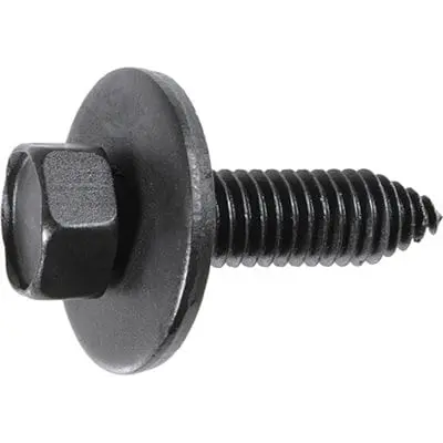 Body Bolt