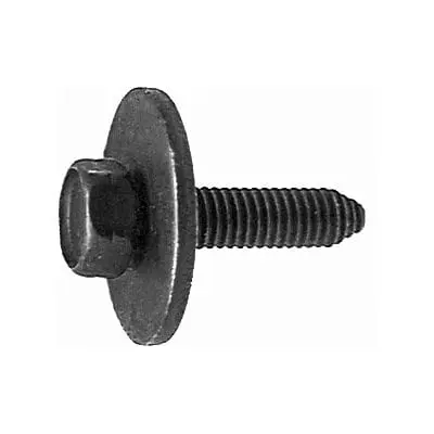 Body Bolt