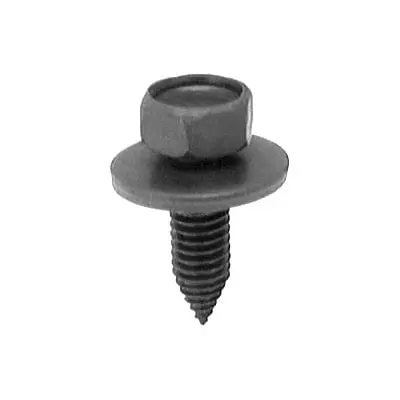 Body Bolt