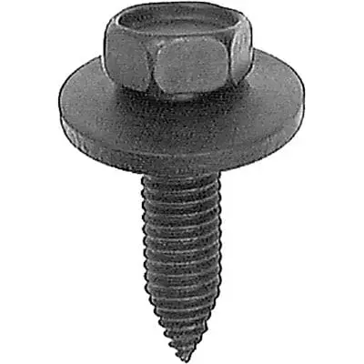 Body Bolt