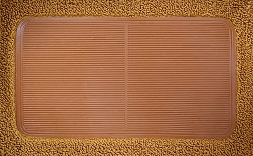 .jpg