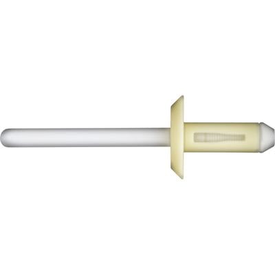6.6mm Nylon Blind Rivet 18mm Head Grip 5mm - Image 2