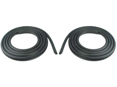1998-2002 Dodge Pickup (Quad Cab Only) Door Seal Pair-DWP311098