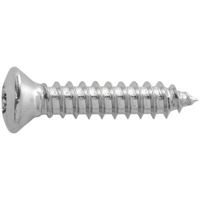 Screw Torx Stainless Oval Chrome Pltd 4.2mm x 30mm - PK 50-WF67225
