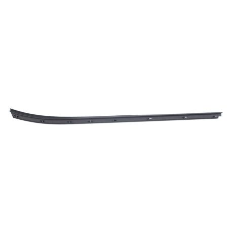 2000-2007 Toyota Tundra|Sequoia Inner Front Door Beltlline Passenger Side-WFL 5111 04